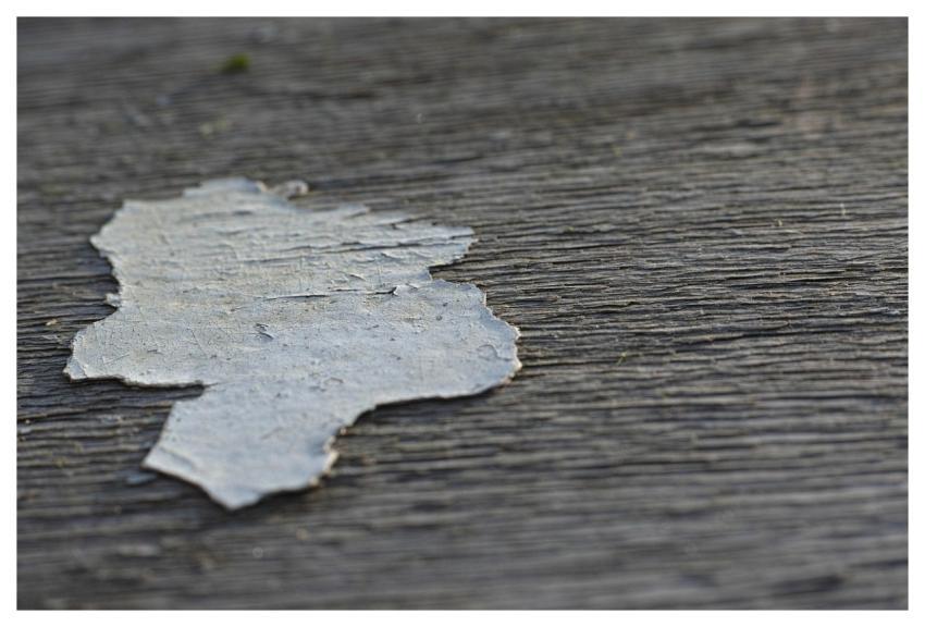Pattern Texture Flooring Macro