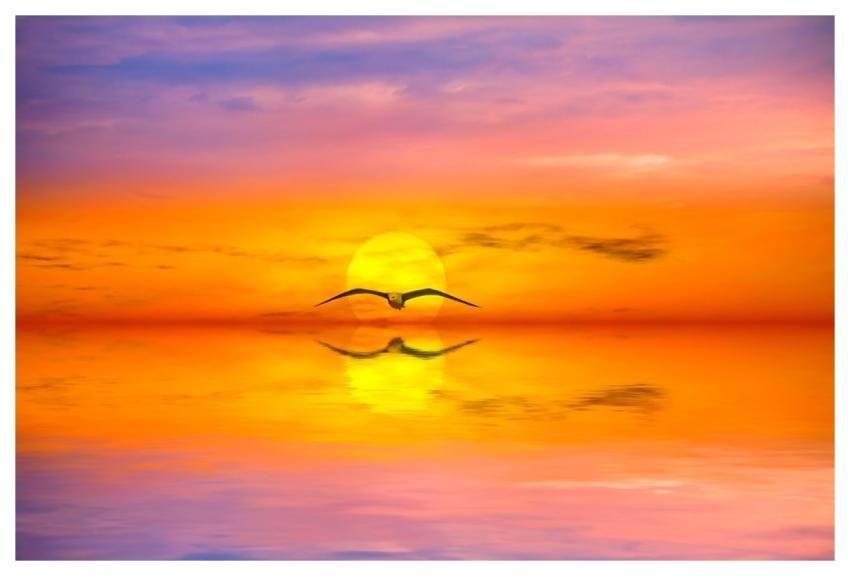 Sunset Landscape Nature Marine