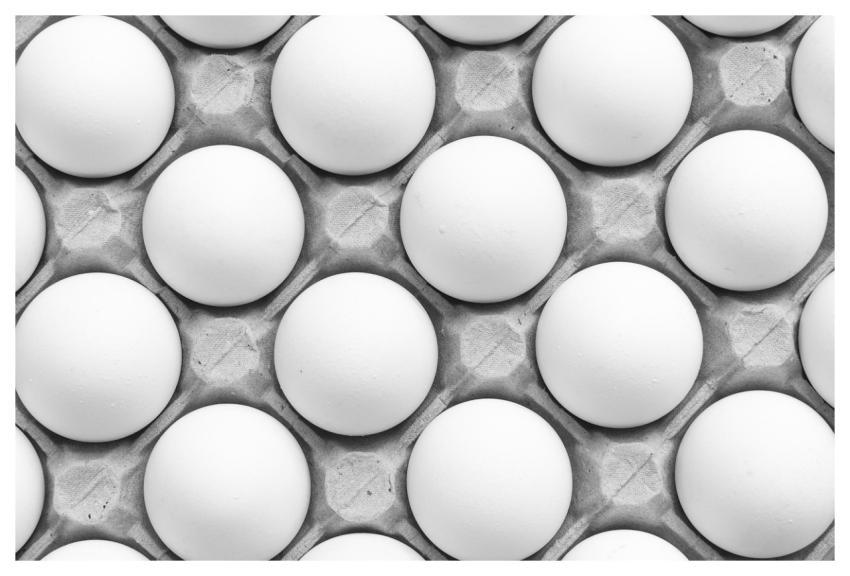 Eggs Food Egg Tray Pattern