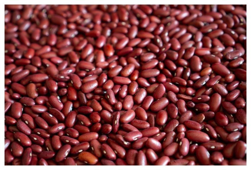 Beans Organic Red Beans Food