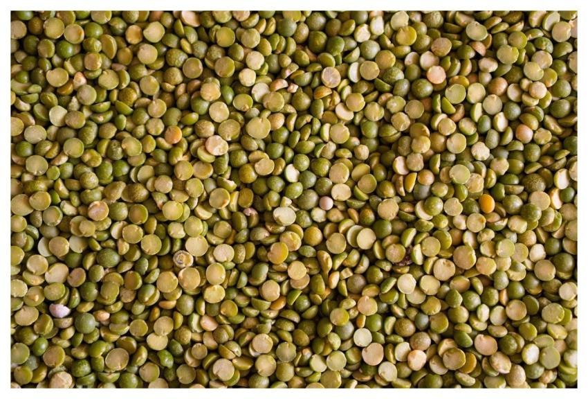 Lentils Lentil Food Nutrition