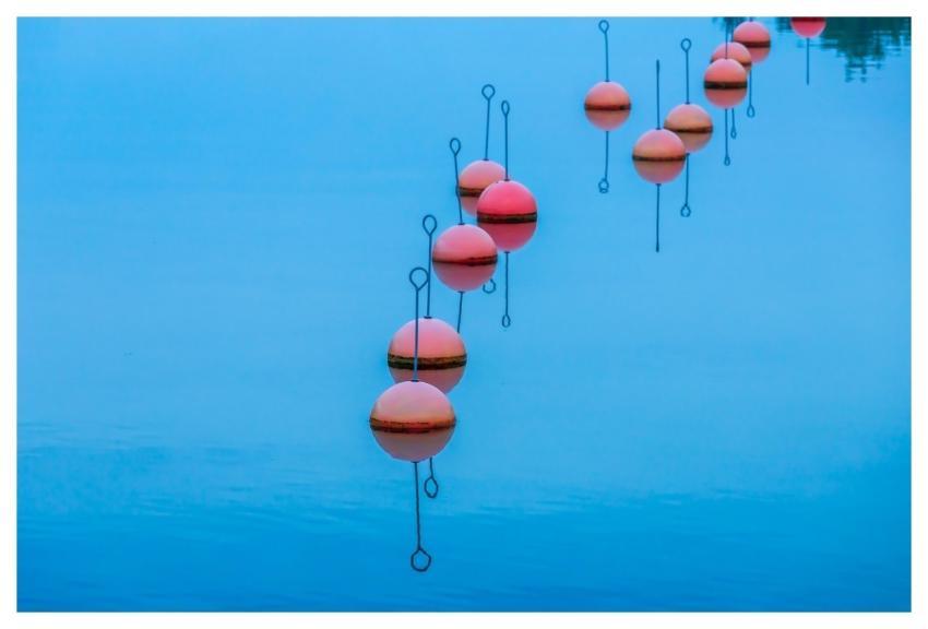 Buoys Nature Water Abstract