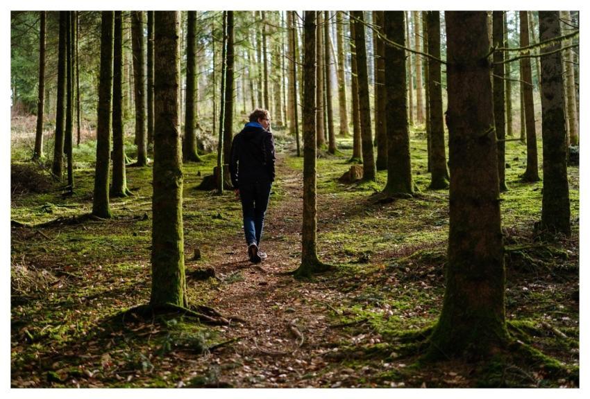 Boy Road Trail Walking