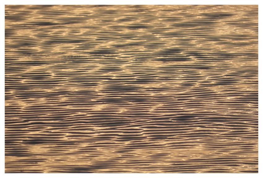 Water Waves Water Surface Desktop