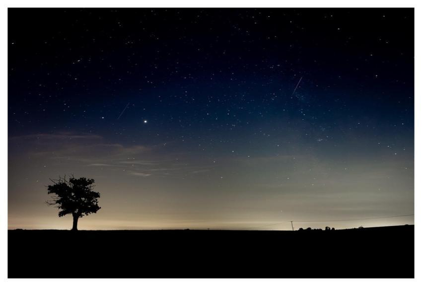 Night Sky Silhouette Lone Tree Sky At Night
