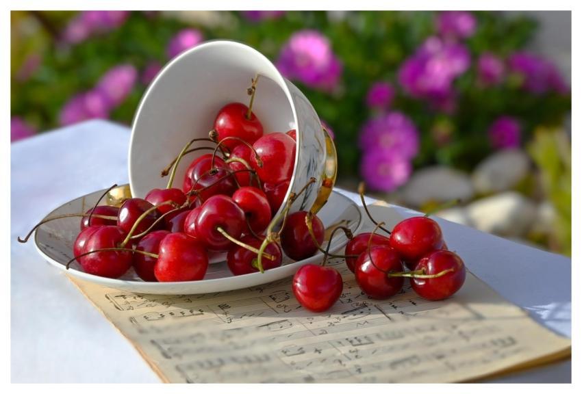 Cherries Summer Fruit Cherry Bowl Fresh Cherries