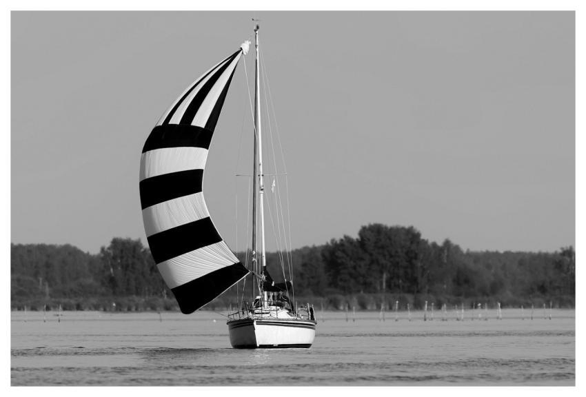 Yacht Sailboat Sail Sailing