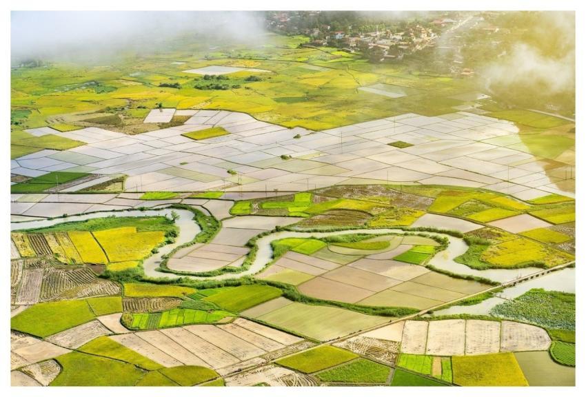 Vietnam Nature Travel Farmer