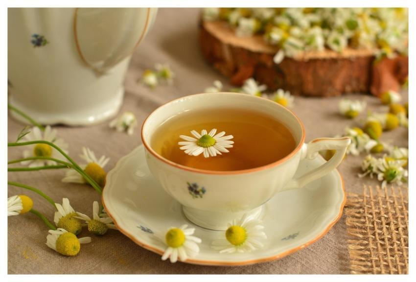 Tea Herbs Chamomile Flower Background
