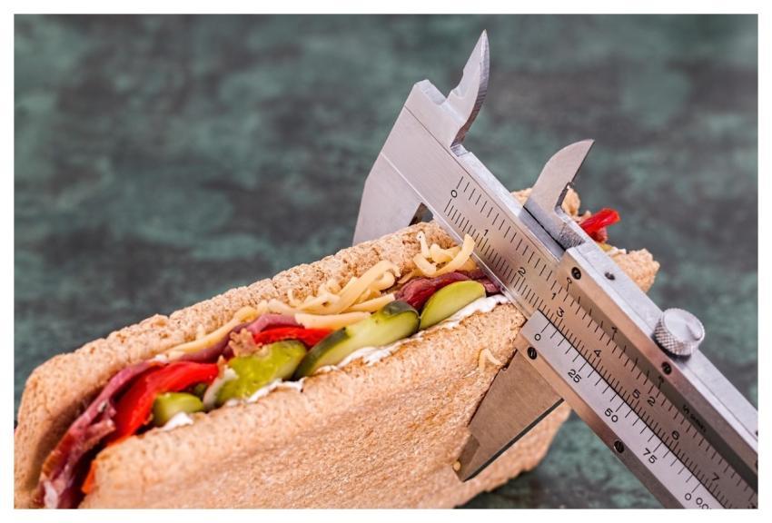 Diet Vernier Sandwich Calorie Counter