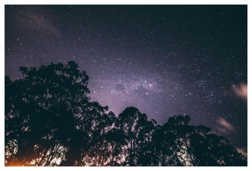 Low Angle Shot Night Sky Starry Sky