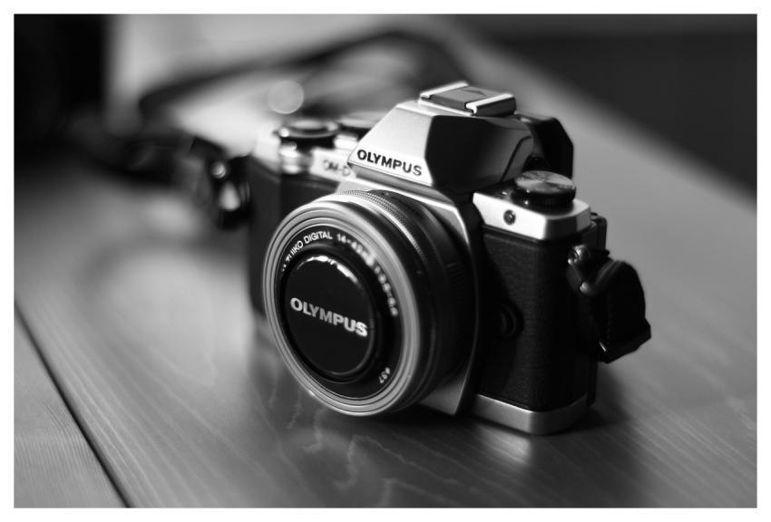 Camera Olympus Digital Camera Equipment