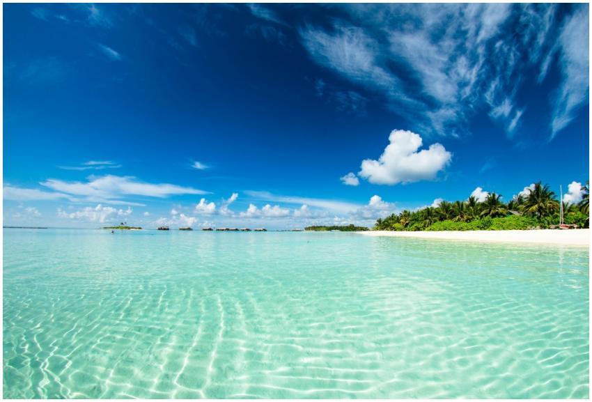 Stunning tropical beach scene in the Maldives with