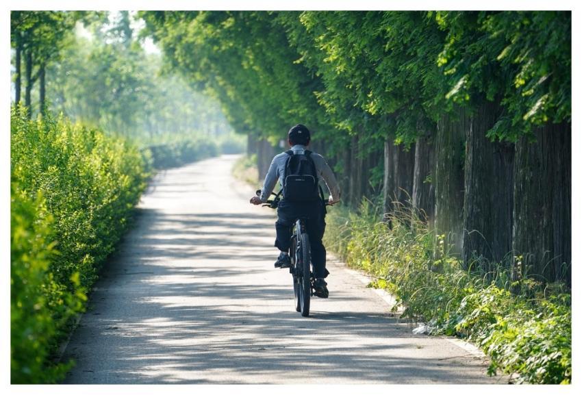 Man Riding Cycling Bike