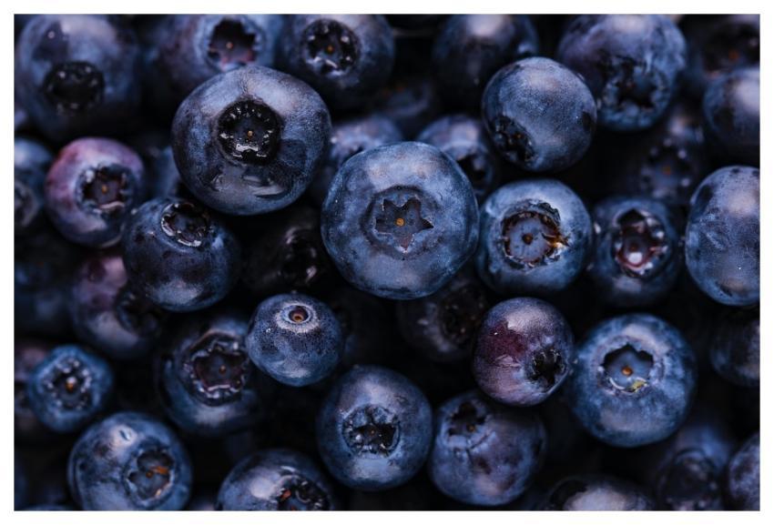 Blueberries Fruits Harvest Produce