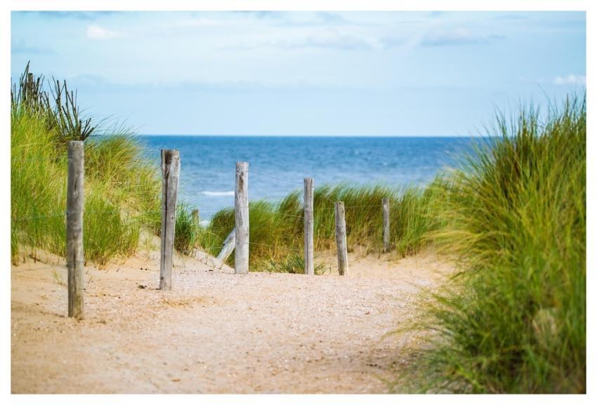 Thin Sea Fence Water