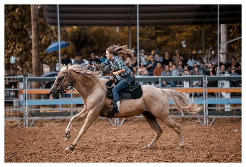 Horse Rider Rodeo Cowboy
