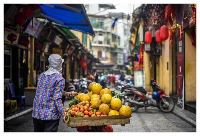 Street Vendor Fruit Vendor Hanoi Vendor