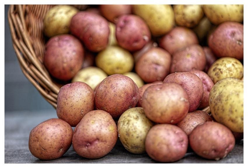 Potatoes Vegetables Nature Fresh