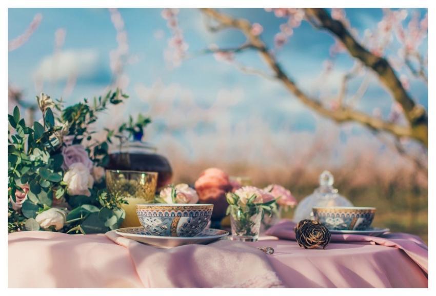 Tea Tea Cup Cup Drink