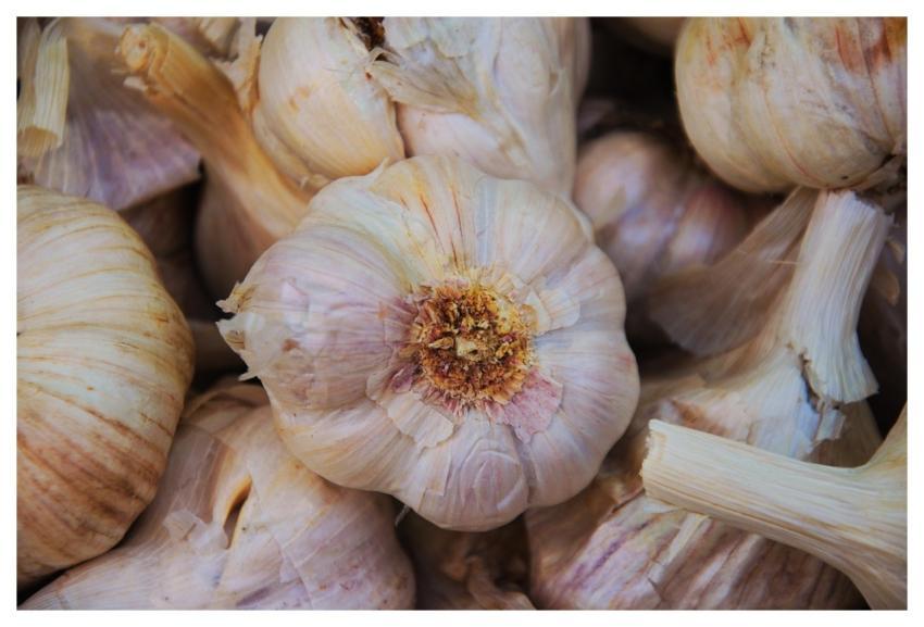 Garlic Health Shopping Vegetables