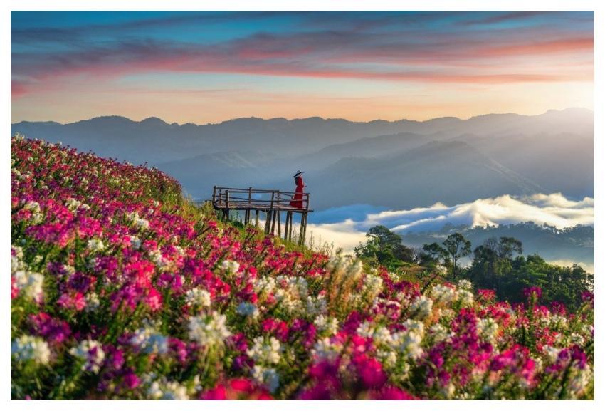 Tourism Travel Nature Mountain