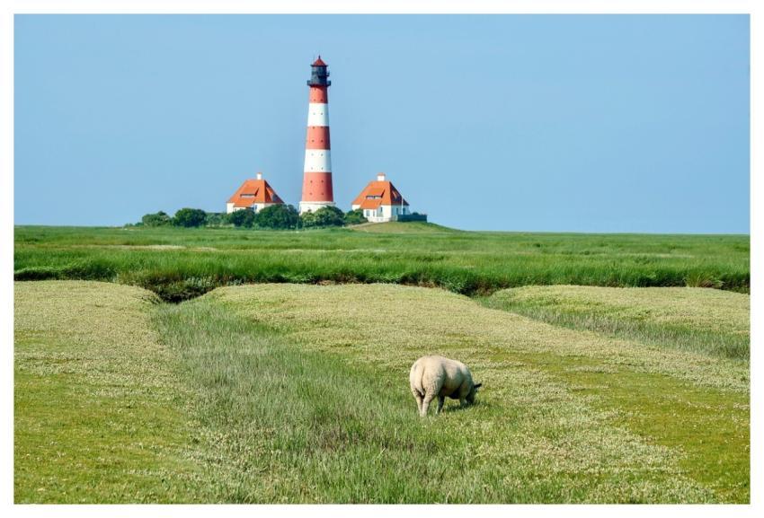 Lighthouse Sea Tower Westerhever