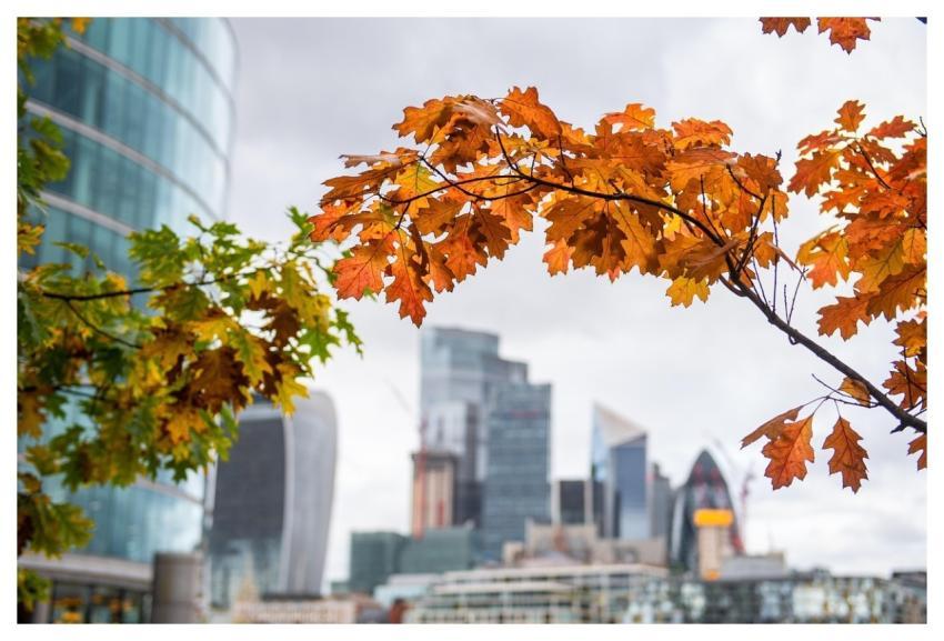 Autumn City London England