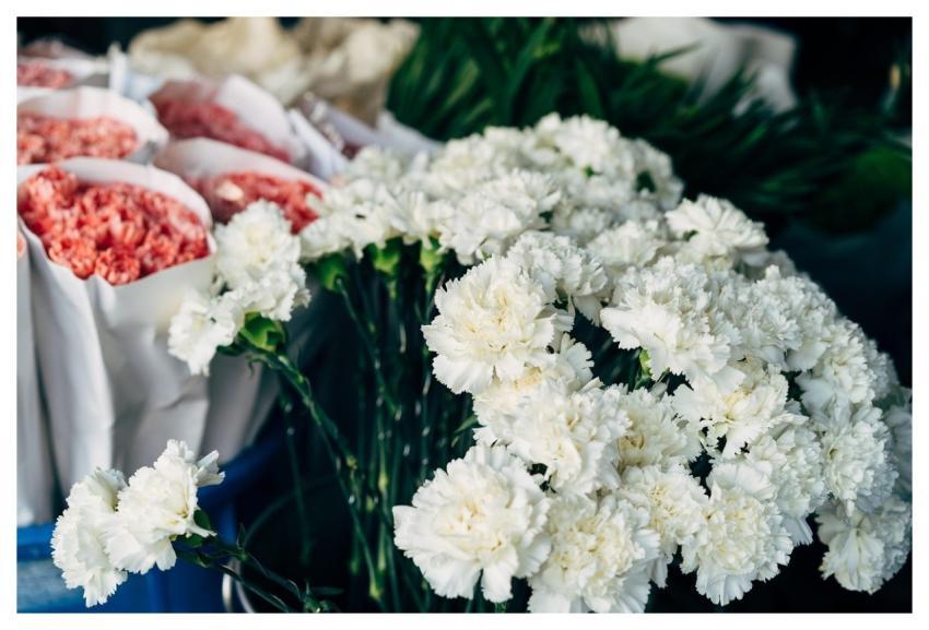 Flower Plant Florist Market