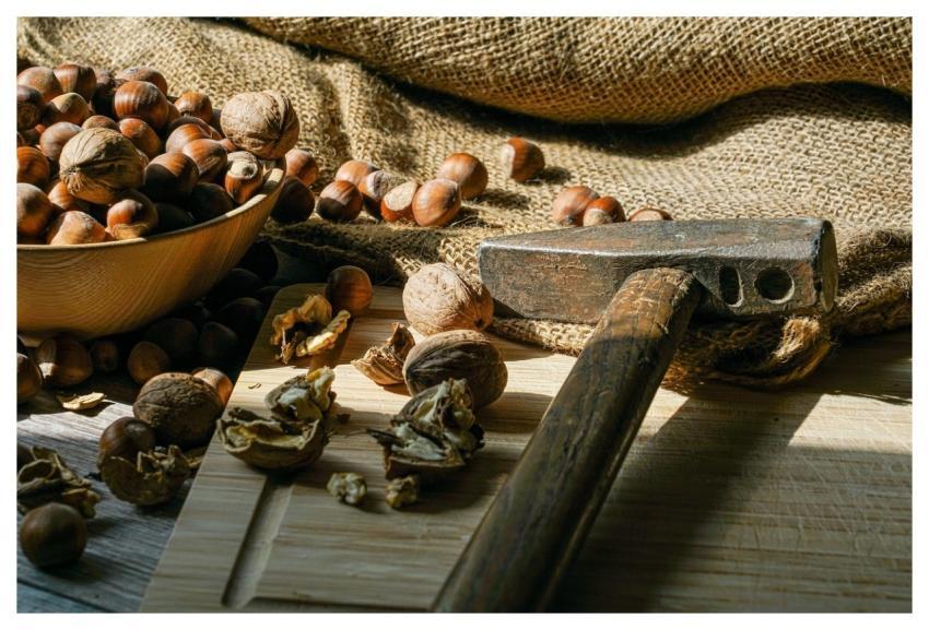 Nuts Hazelnuts Harvest Meal