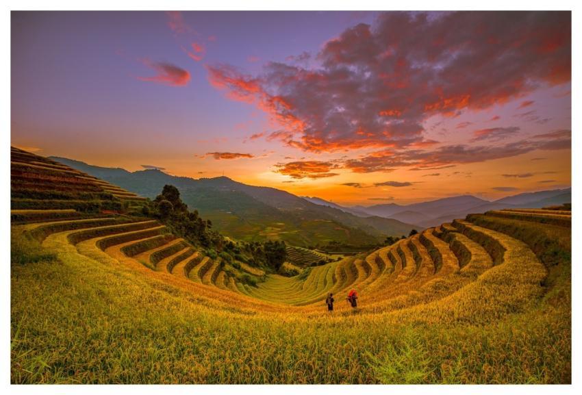 Vietnam Blind Cang Brush Terraces Mountain