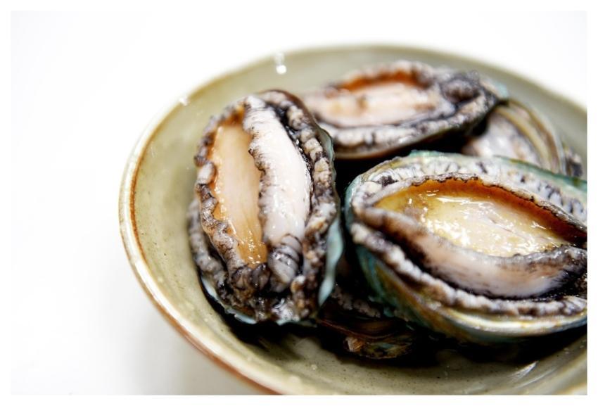 Abalone Wando Abalone Korean Food Nature