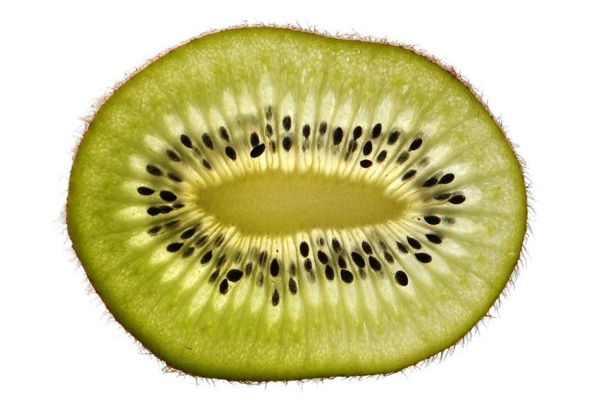 Kiwi Fruit Half Cross Section