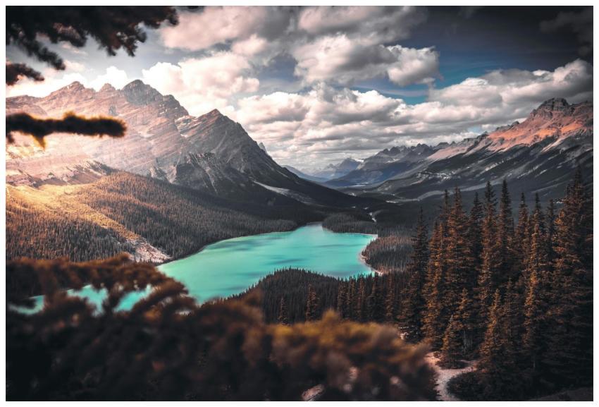 Breathtaking view of Peyto Lake surrounded by moun