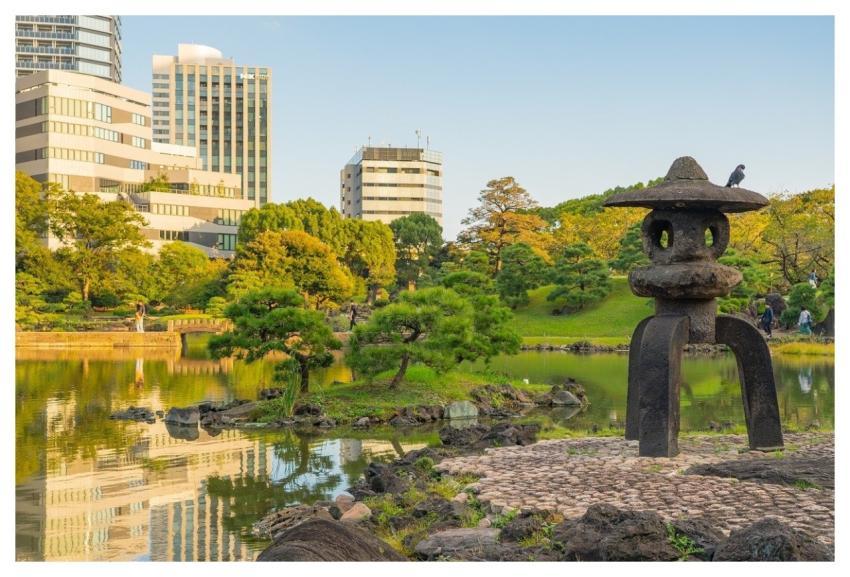 Japanese Garden Tokyo Horticulture Garden