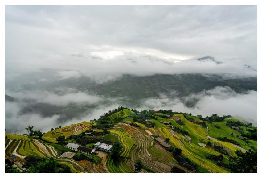 Residential Paddy Field Nature Step