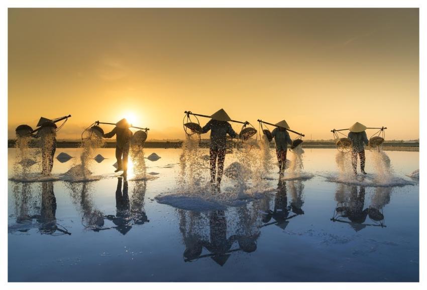 Salt Harvesting Vietnam Nature Water