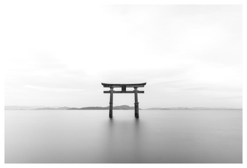 Tori Japanese Shrine Torii