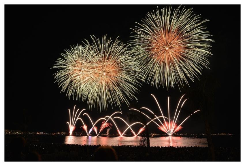 Fireworks Show Pyrotechnics Celebration