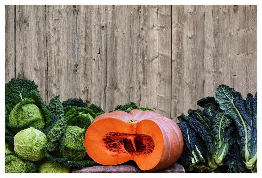 Vegetables 4K Wallpaper 1920X1080 Pumpkin Cabbage