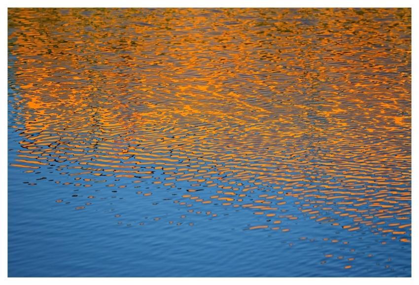 Water Nature Ripple Reflection