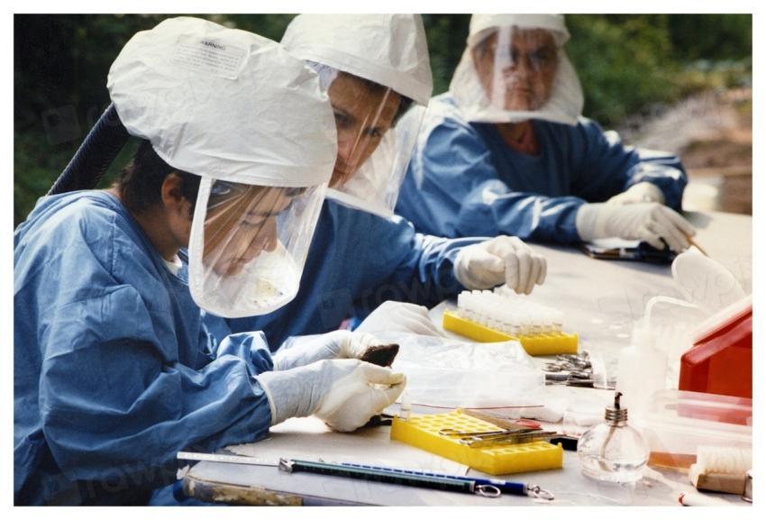 Health officials inspecting specimens suspected