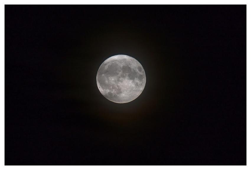 Moon Night Night Sky Full Moon