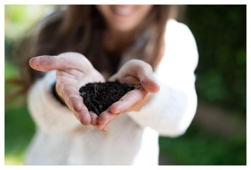 Hands Plant Care Compost Ecological Activity