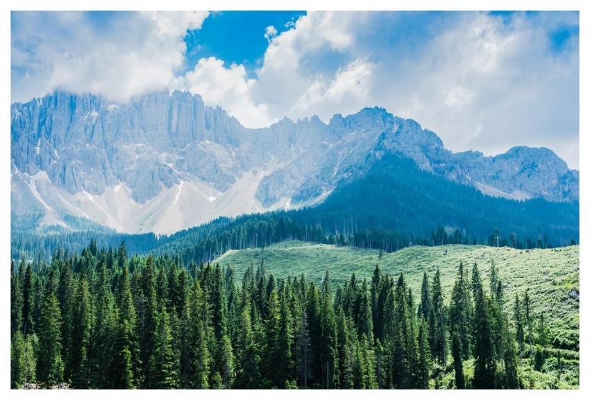 Mountains Trees Pine Forest Limestone Mountains