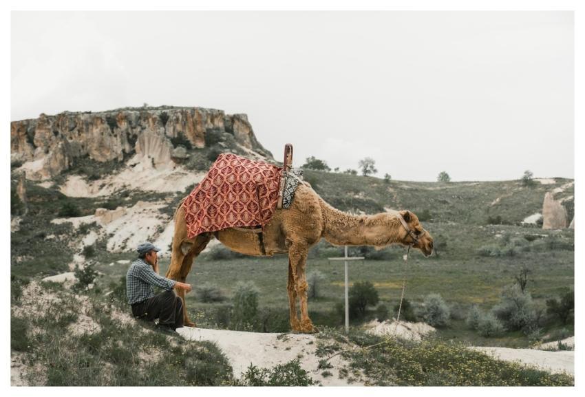 Camel Travel Man Caravan