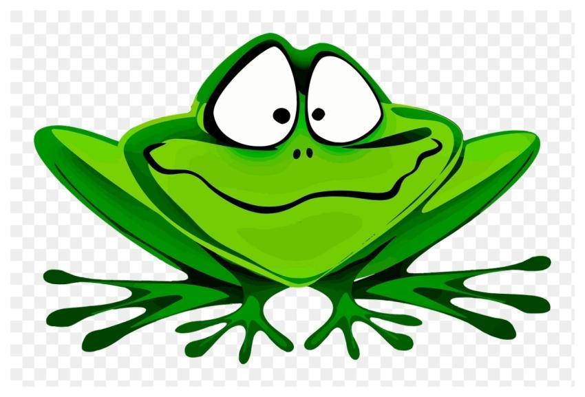 Frog png sticker, animal illustration