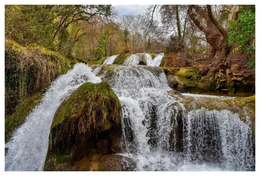 Cascade Waterfall Stream Forest