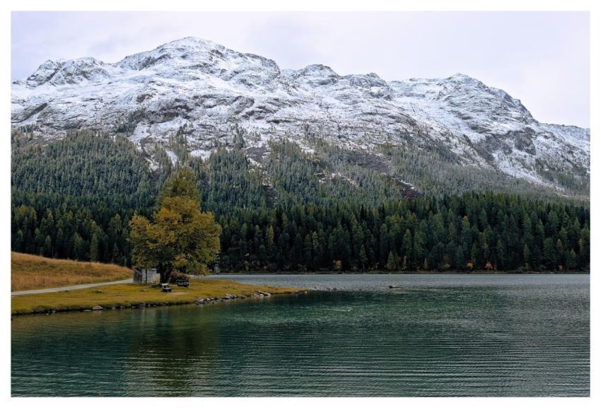 Lake Nature To Travel Exploration