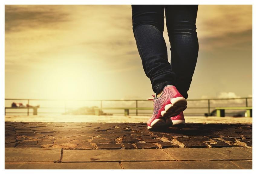 Legs Shoes Walking Walk